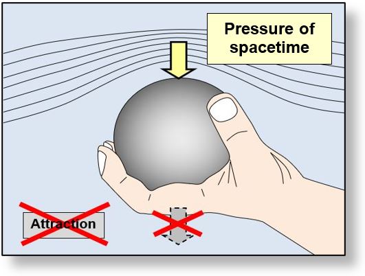 Origin of gravitation - or gravity - is the pressure exerted on the surface of objects.